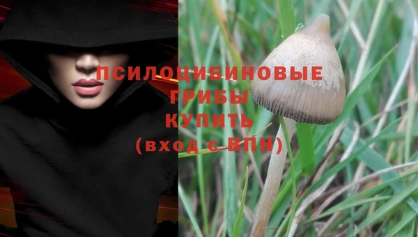 прущий лед Волосово