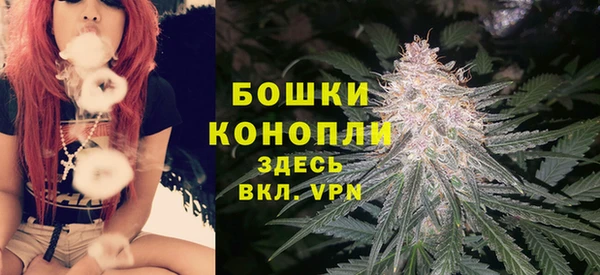 молекула духа Семикаракорск
